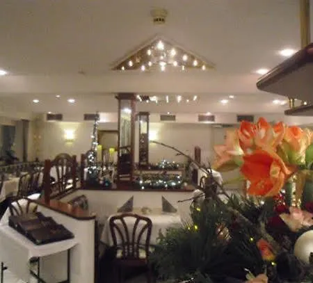 雄狮酒店 酒店 梅肯博伊伦